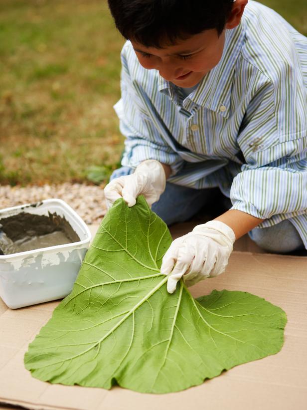 Lay Large Leaf Out Flat with Veiny Side Up