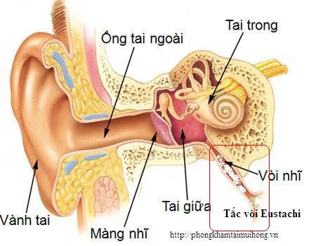 1phongkhamtaimuihong vn 1423579356089