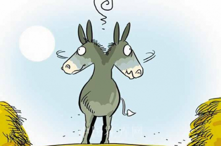 2 chú lừa và 2 sự lựa chọn cuộc đời khác nhau