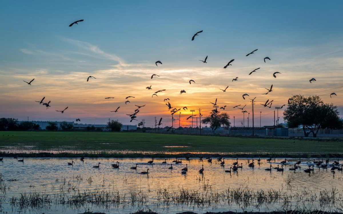 Texas Hoa Kỳ