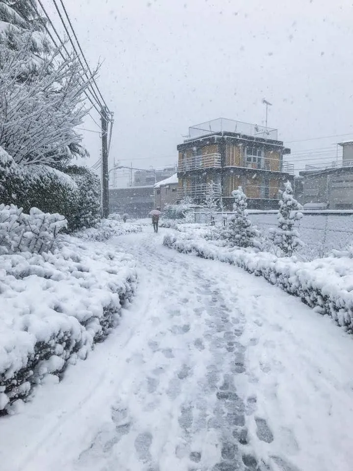 Tokyo, Nhật Bản đang trải qua một mùa đông khắc nghiệt nhất