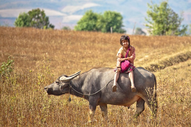 281105 R3L8T8D 650 children going to school around the world 24