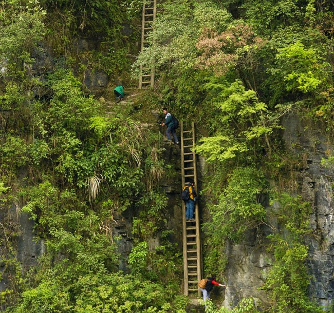 con đường đến trường