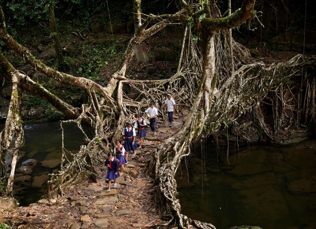 282155 R3L8T8D 650 children going to school around the world 61