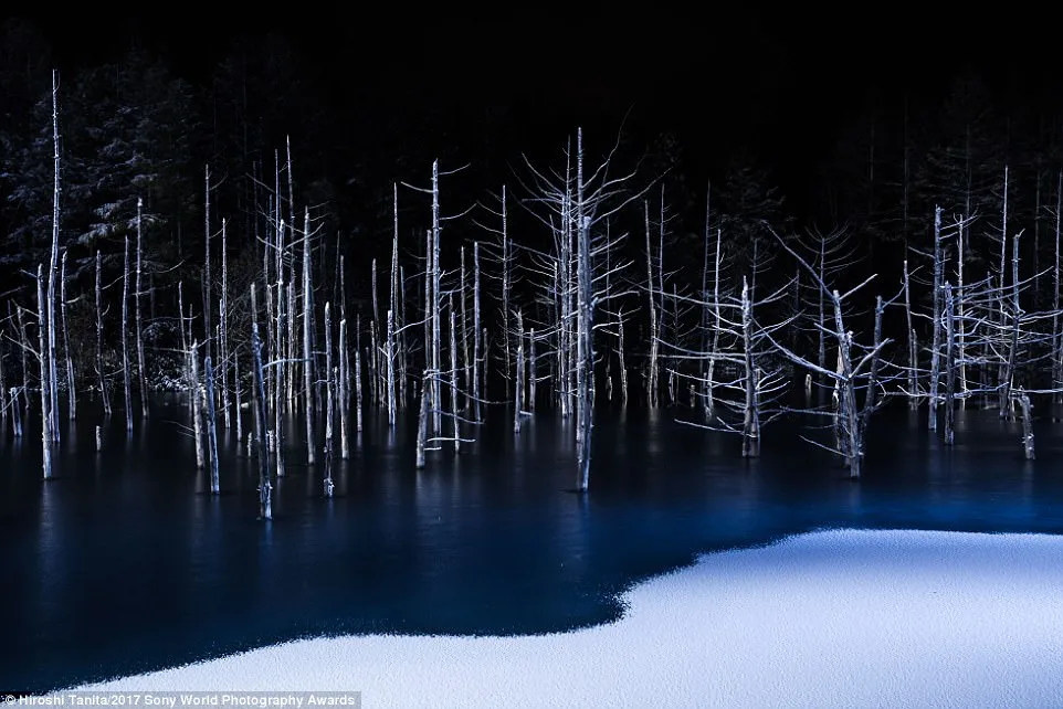 A hauntingly beautiful shot of a partially frozen lake by Hiroshi Tanita called 