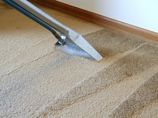 54cfd63394dde carpet cleaning 11 0114 lgn