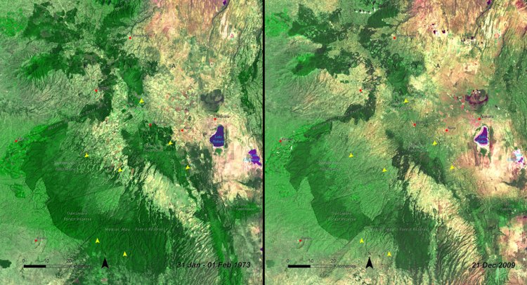 More deforestation is visible in Kenya