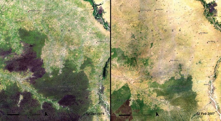 So was the Baban Rafi Forest in Niger, from 1976 (left) to 2007 (right).