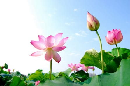 Kính trọng người khác là một loại cảnh giới cao thượng