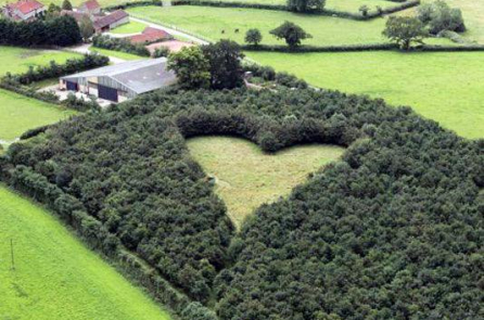 Câu chuyện cảm động cất giấu 17 năm phía sau khu rừng trái tim ở Anh