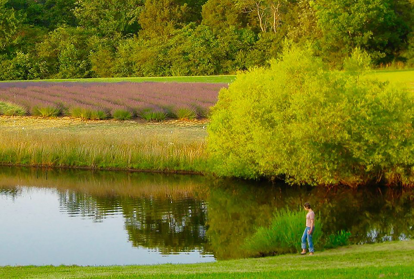 Bluebird Hill Farm Evening Pond