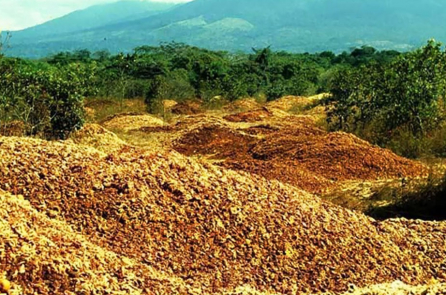 Vỏ cam đem “mùa xuân” trở lại cho mảnh đất khô cằn của Costa Rica