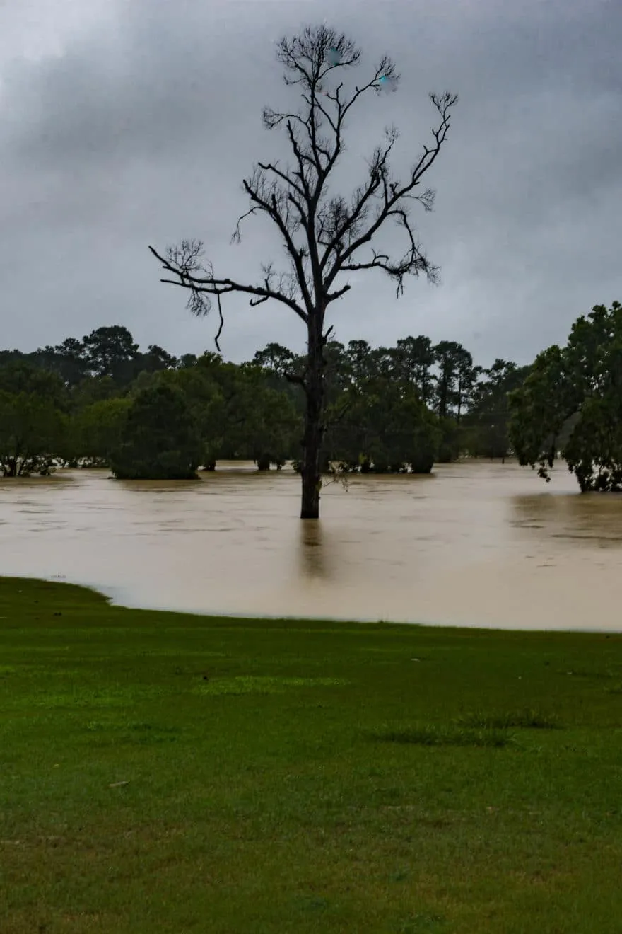 Harvey Flooding in North Houston Kingwood 59a6028da5719 880