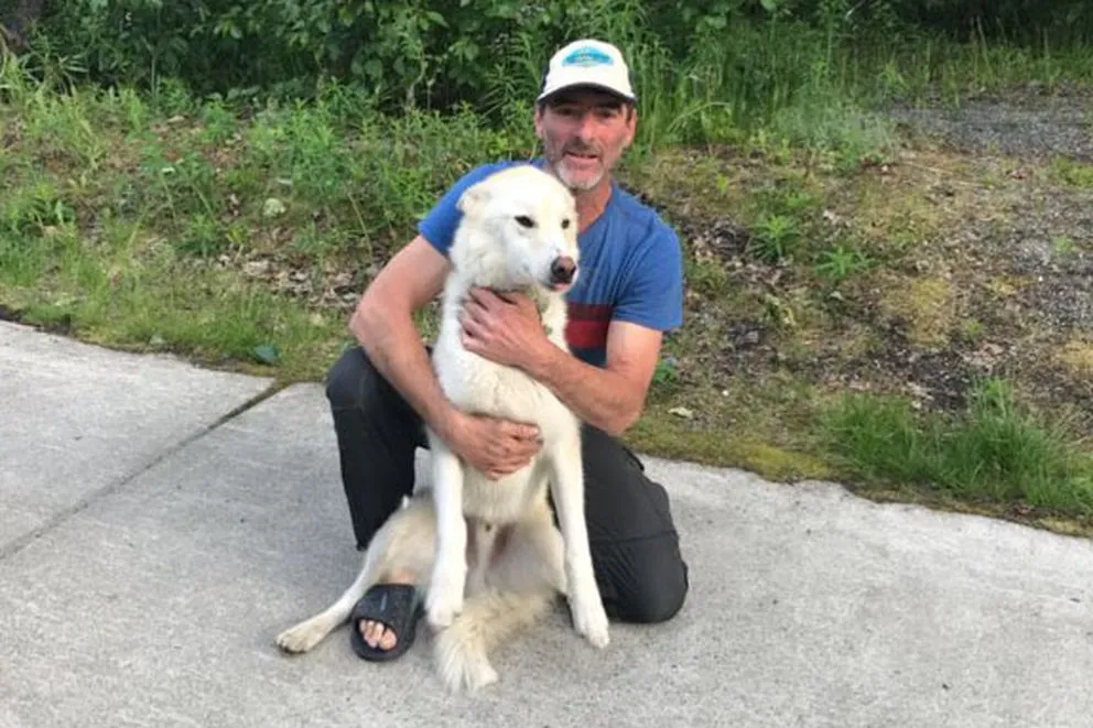 Nanook, an Alaskan husky, is an adventurous dog who lives with Scott Swift at the end of Crow Creek Road. (Photo provided by Scott Swift)