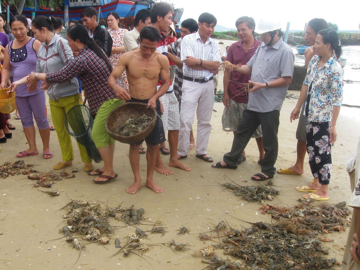 tom hum chet sau lu tai phu yen