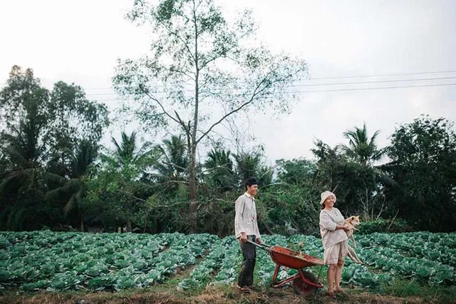 Bộ ảnh ba mẹ trong vườn bắp cải của chàng trai Sóc Trăng thu hút cộng đồng mạng