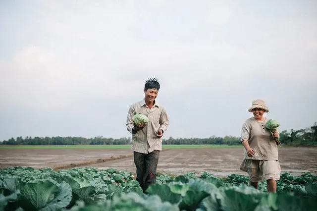  Khi ngắm nhìn những khuôn hình này chắc hẳn ai cũng chỉ mong ước khi về già mình sẽ có một tình yêu “tươi xanh” như thế! 