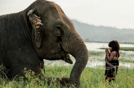 Chân dung các dân tộc Việt Nam qua lăng kính nhiếp ảnh gia người Pháp