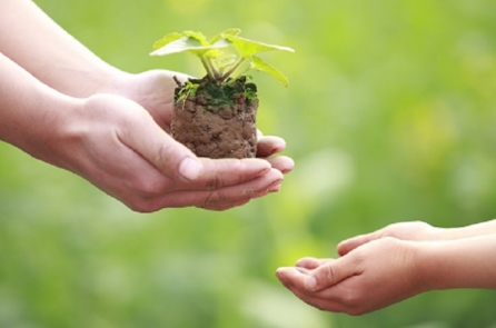 Cảnh giới giáo dục cao nhất bắt đầu từ “tôn trọng sự sống”