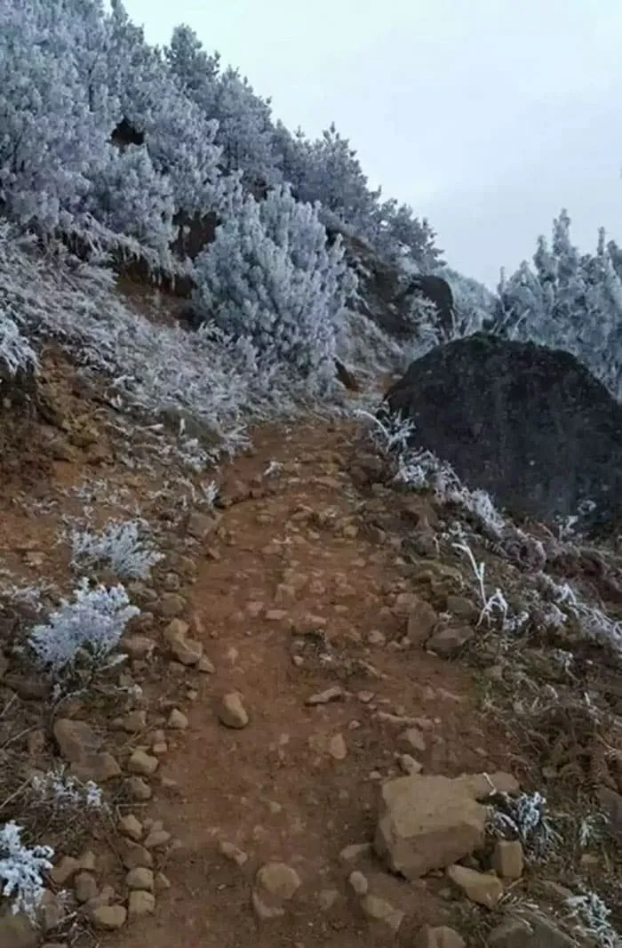 ice-boy-walk-freezing-cold-school-wang-fuman-china-7