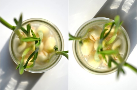 Muốn tận hưởng dưỡng chất, hãy lên mầm cho tỏi!