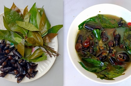 Về xứ Quảng thưởng thức canh rau ranh ốc đá thơm ngon độc đáo