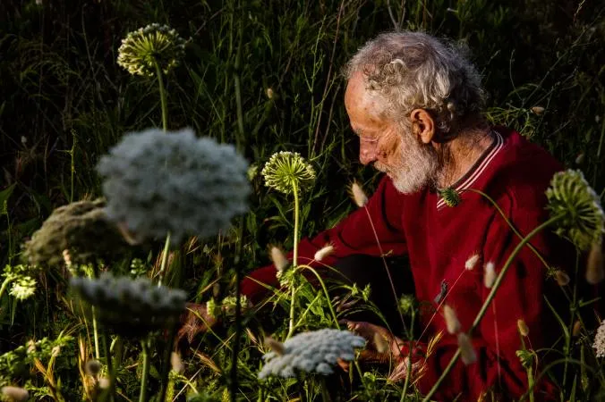 mauro foraging herbs budelli island italy.ngsversion.1502305279909.adapt.676.1