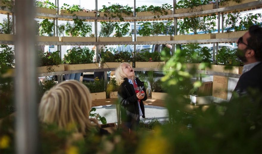 open-source-plans-garden-ikea-growroom-3