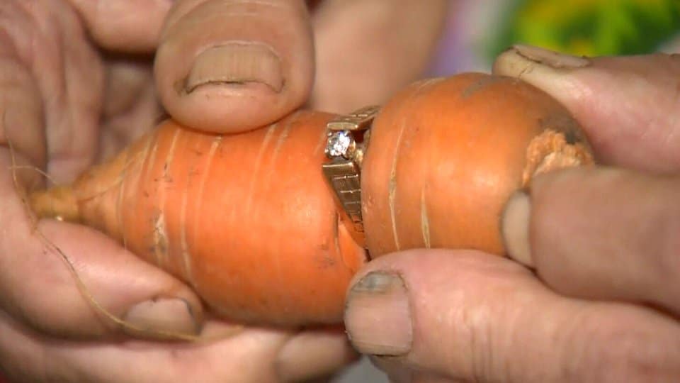 ring on carrot