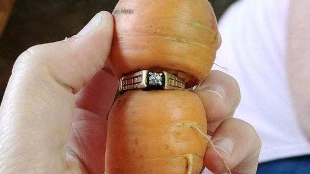 ring on carrot2