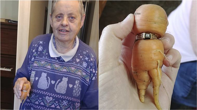 ring on carrot3