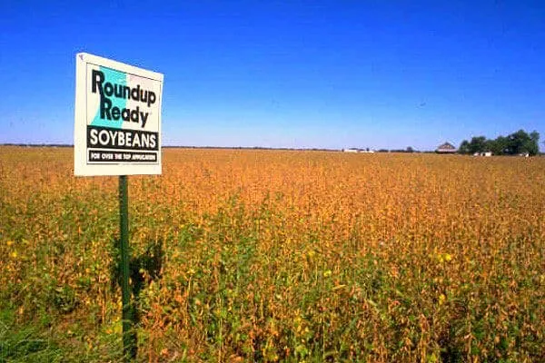 roundup 4 25 18 1 2 1 image