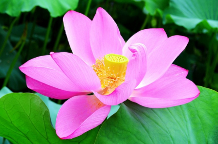 Suy ngẫm: Người lễ tân tốt bụng và cặp vợ chồng già tỷ phú