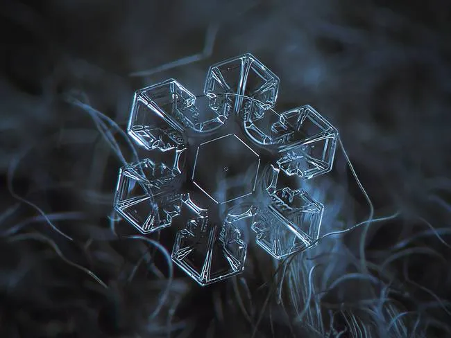 macro snowflake photo