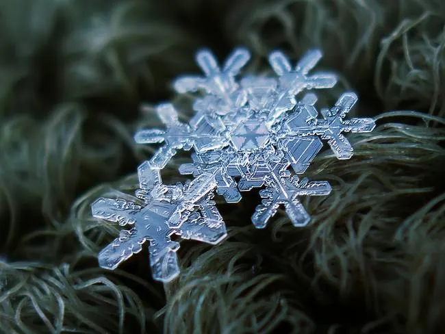 macro snowflake photo