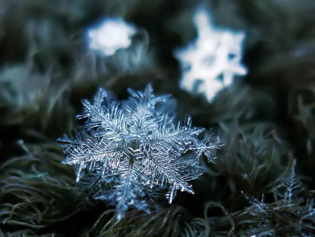 macro snowflake photo