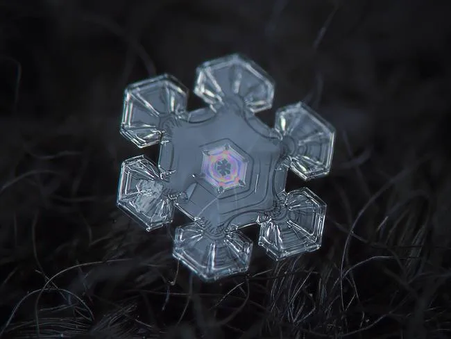 macro snowflake photo