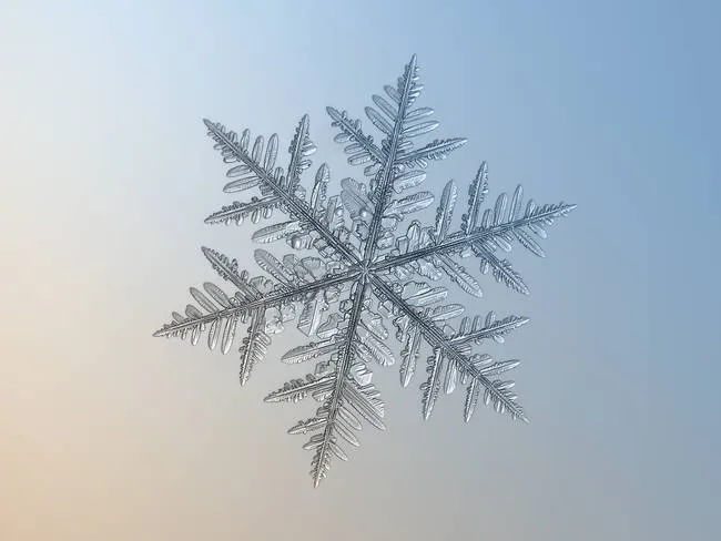 macro snowflake photo