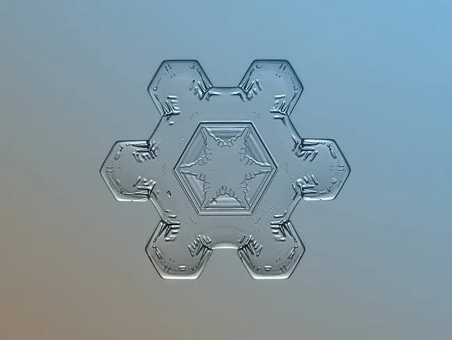 macro snowflake photo