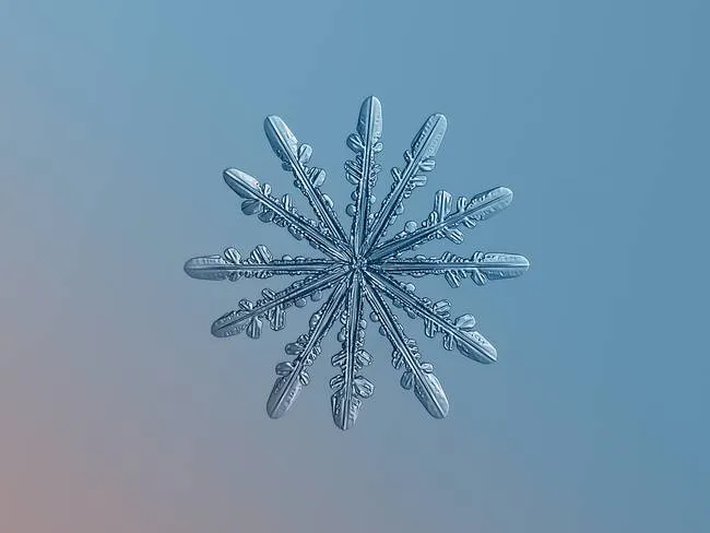 macro snowflake photo