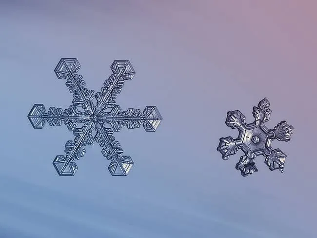 macro snowflake photo