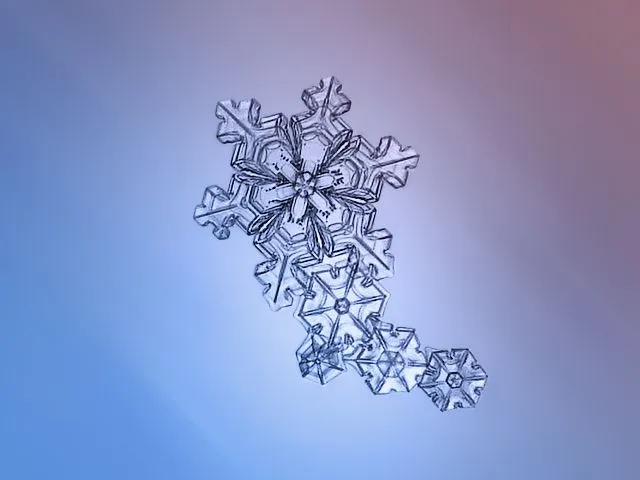 macro snowflake photo