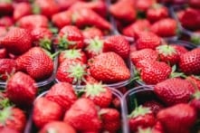 Vì sao trái cây không còn ngon như trước