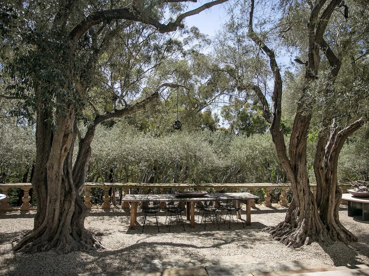 The garden has a mix of olive and eucalyptus trees.