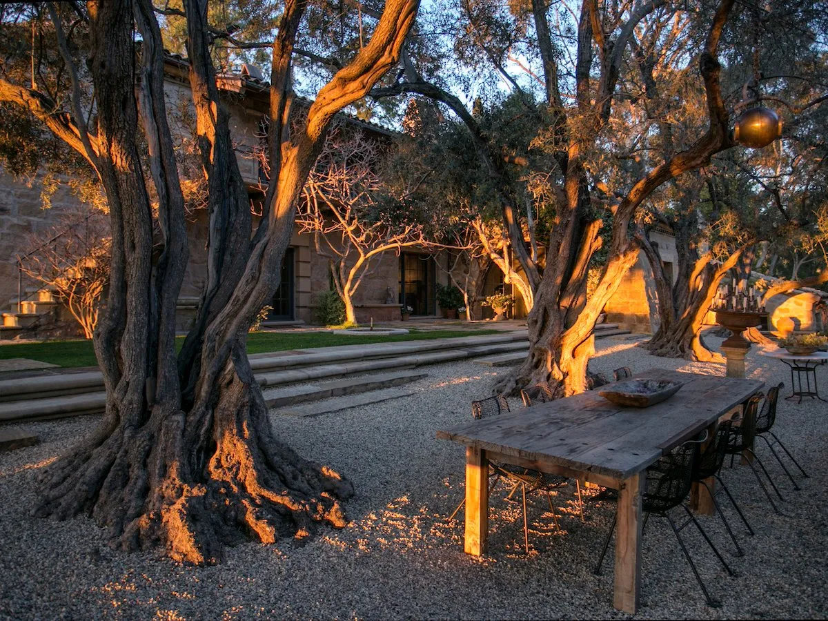 "The surrounding gardens and olive trees are almost as wonderful as the interior. The house truly feels like it was built out of the landscape, rather than plopped on a plot," DeGeneres said.