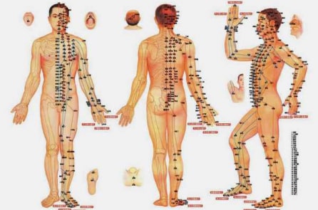 Kinh lạc: Vì sao người xưa biết trong khi giải phẫu tìm không thấy?