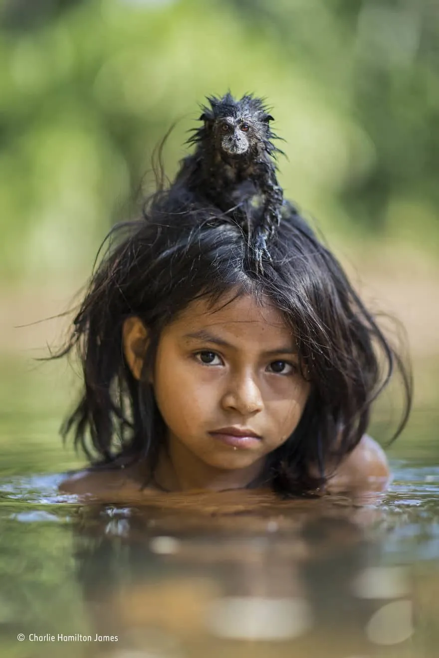 wildlife photographer of the year 2017 natural history museum 61 59e85d0f281ad 880