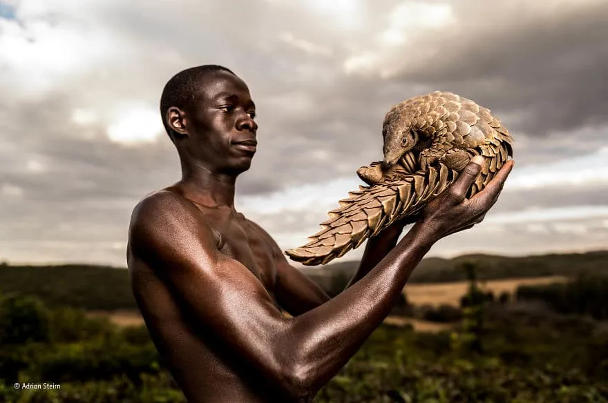 wildlife photographer of the year 2017 natural history museum 65 59e85d1c1cbac 880