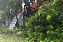 Bão Mirinae đổ bộ: Thái Bình, Nam Định, Hà Nam mất điện hoàn toàn