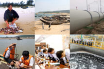 Chính phủ gửi báo cáo chi tiết thiệt hại do Formosa gây ra tới Quốc hội